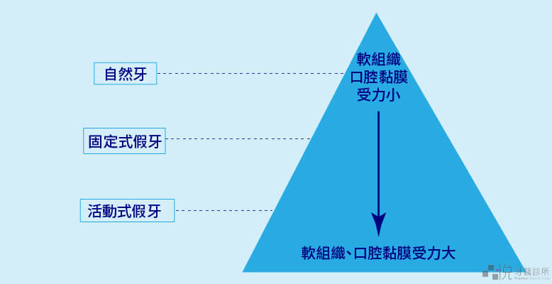 假牙對牙肉萎縮的影響